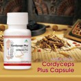 Kapsułki Cordyceps Plus 500 mg x 60 kaps.