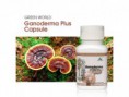 Kapsułki Ganoderma Plus (Reishi Plus) 300 mg x 60 kaps. (0003)